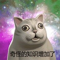 奇怪的知识增加了！